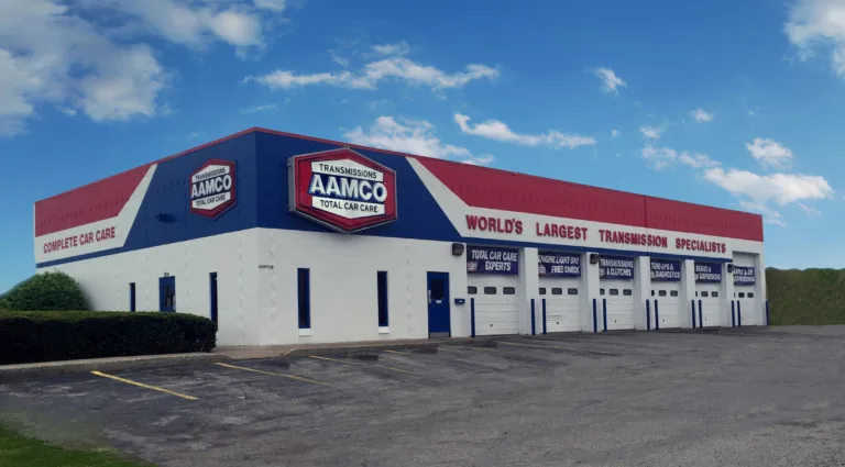 Amity Auto LLC Michigan Total Income 2