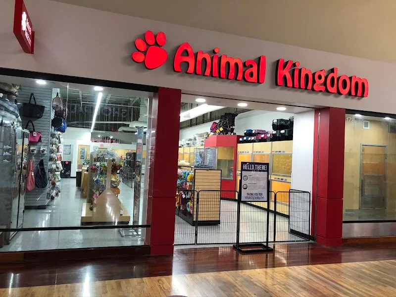 Animal Kingdom