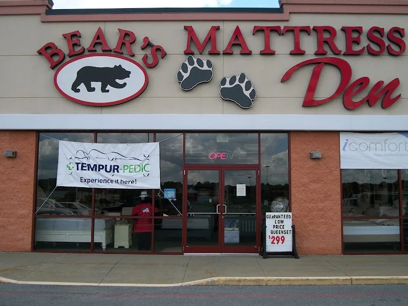 Bear's Mattress 1st