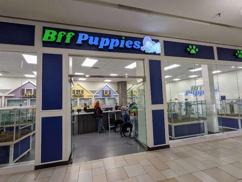 BFF Puppy Biz LLC
