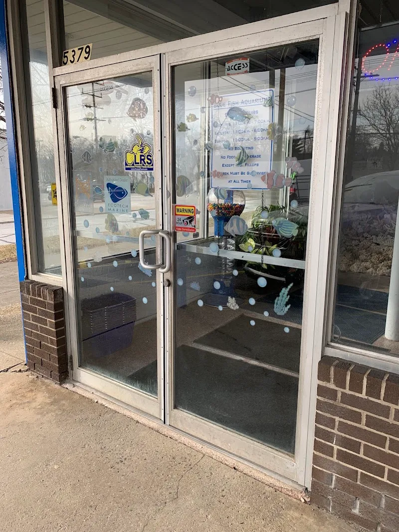 Blue Fish Aquariums LLC