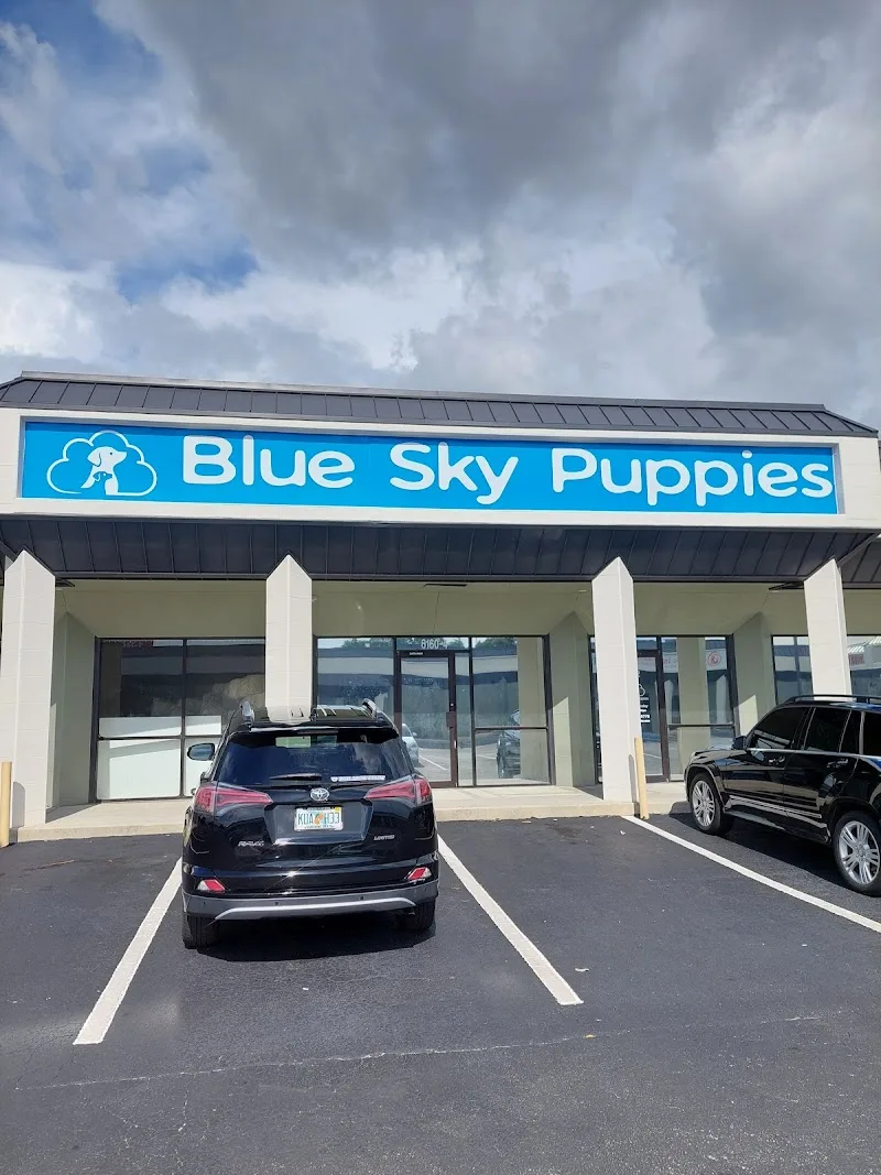 Blue Sky Puppies LLC (TF)