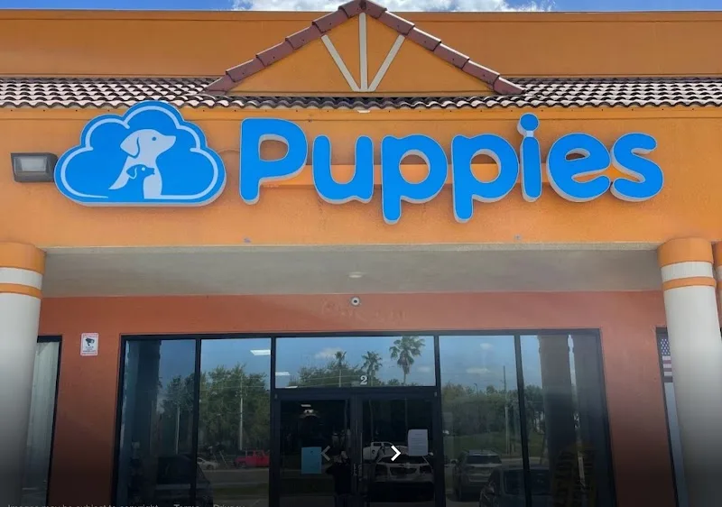 Blue Sky Puppies of Orlando LLC (TF)
