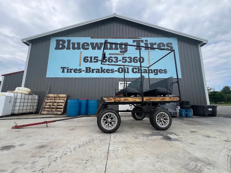 Bluewing Tires care LLC