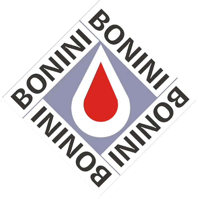 Bonini Group LLC