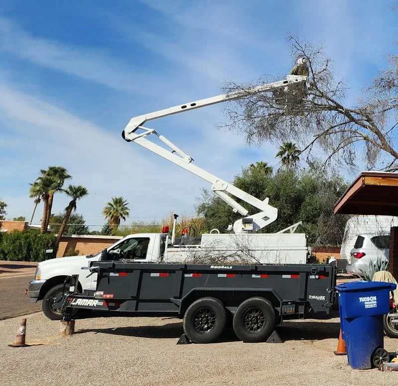 C and C Verde LLC