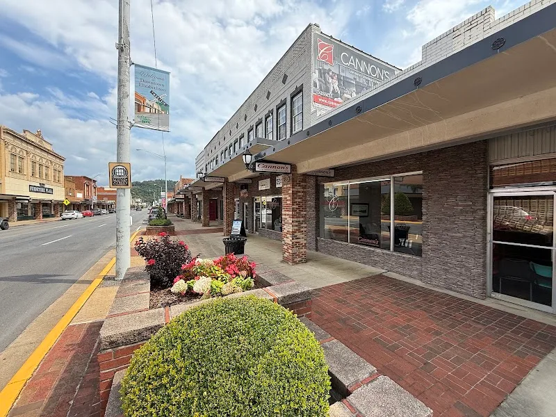 Cannons Fine Home Furnishings Inc