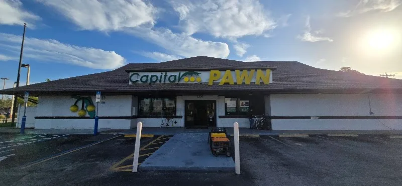 Capital Pawn #3267
