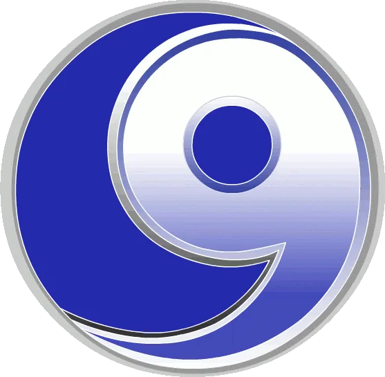 CLOUD9 SOLUTIONS LLC