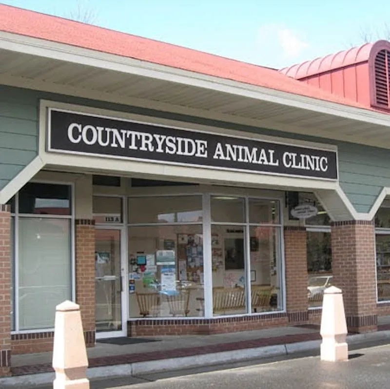 Countryside Chiropractic Inc (LU)