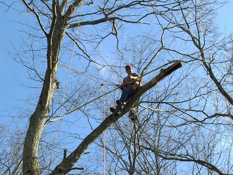 Darien Lawn and Tree Care Inc (TF)