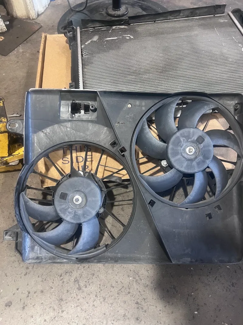 Delta World Tire #7015