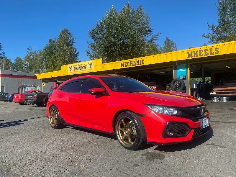 Dingos Tire Shop