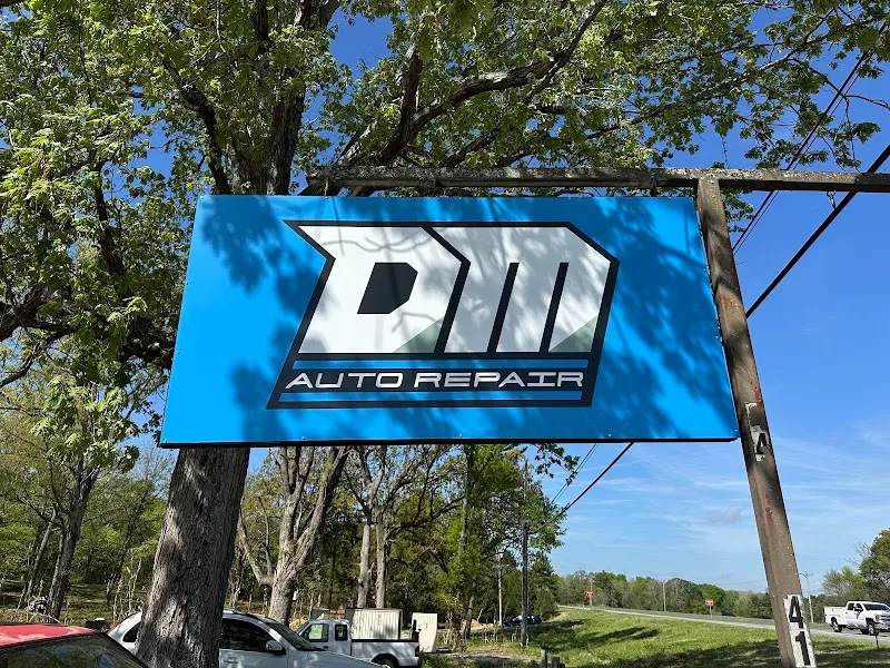 DM Motorsports Inc