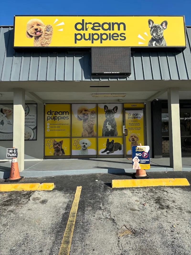 Dream Puppies LLC