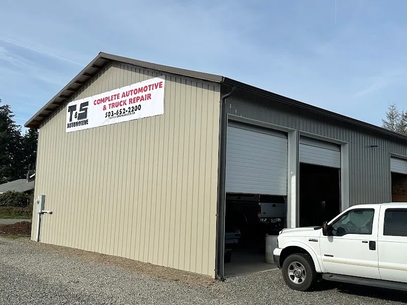 DTS Automotive Inc
