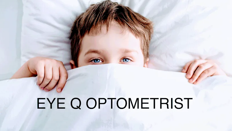 EyeQ Vision Group Inc