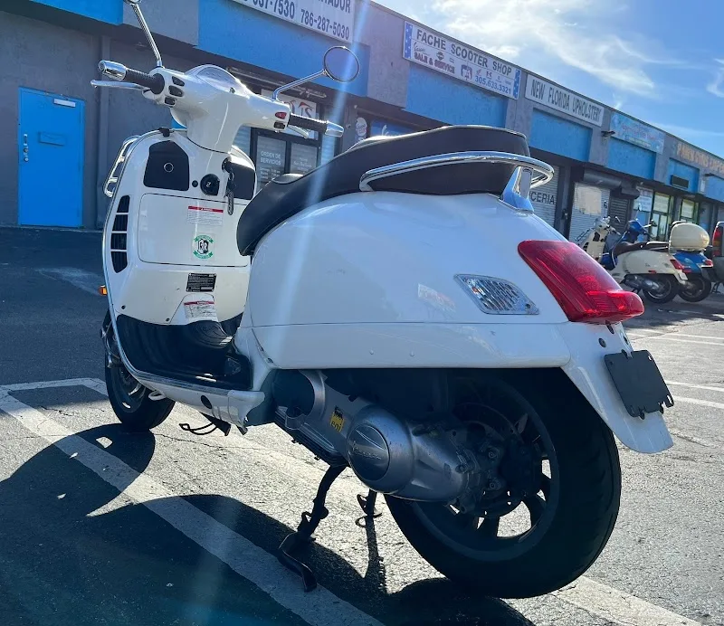 Fache Scooter Shop Inc