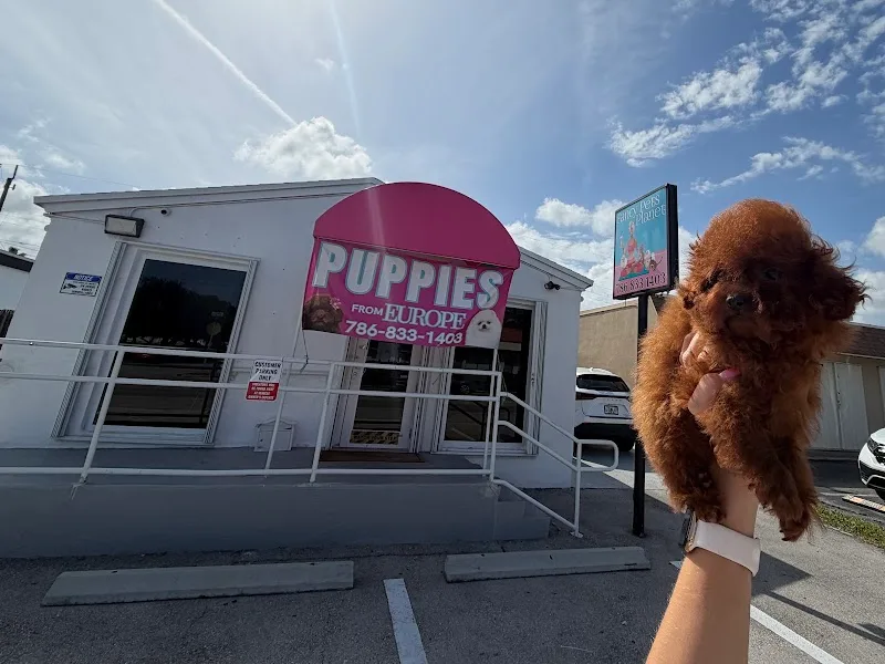 Fancy Pets Planet LLC