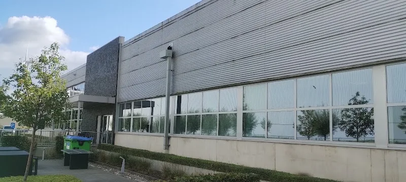 FBGS Corp