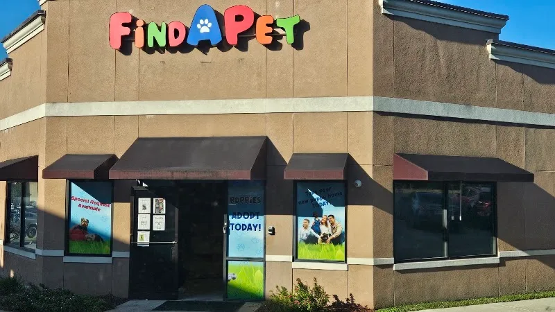 Find A Pet