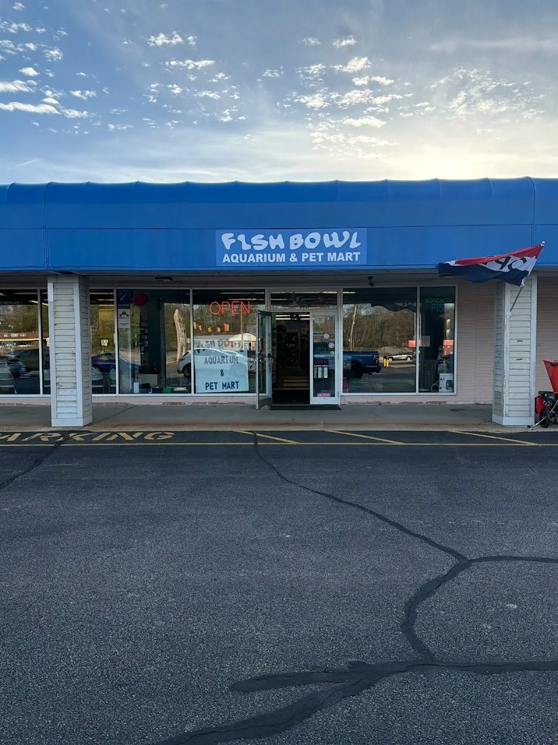 Fish Bowl Aquarium Pet  -North Kingstown