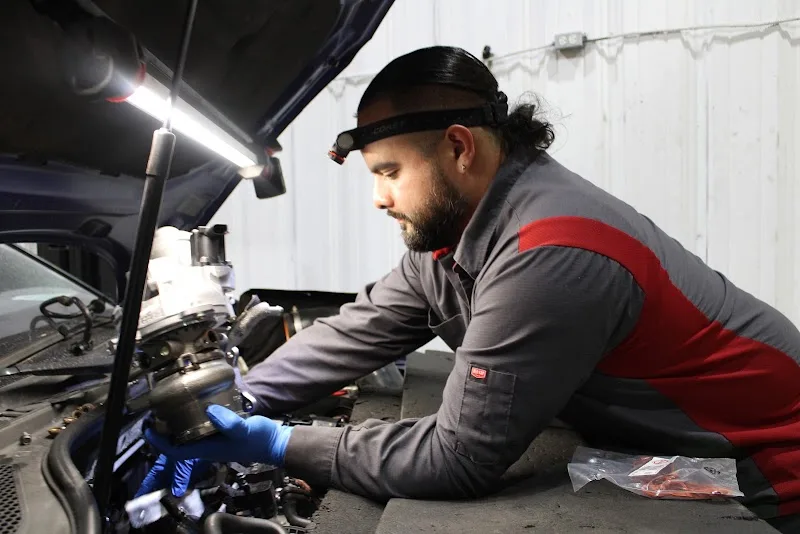 Goose Automotive LLC