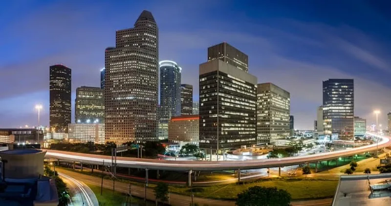 H Town Pups LLC