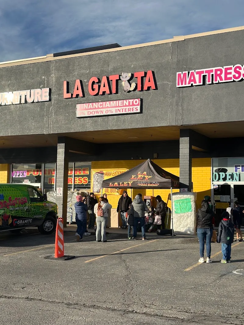 La Gatita Furniture LLC