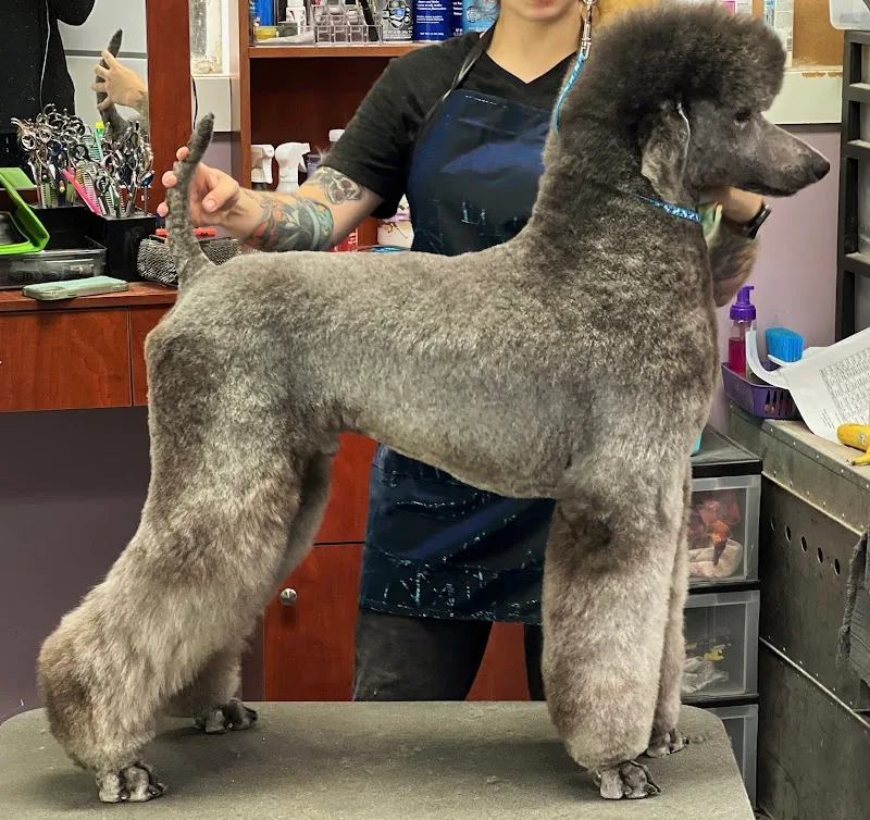 LJ Pets Inc