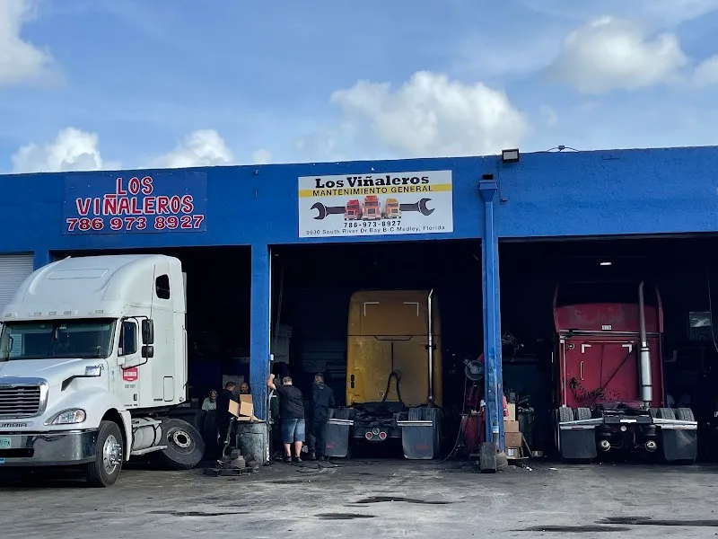 Los Vinaleros Lube Services Inc