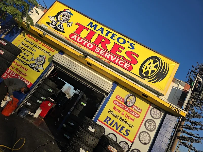 Mateo Tires