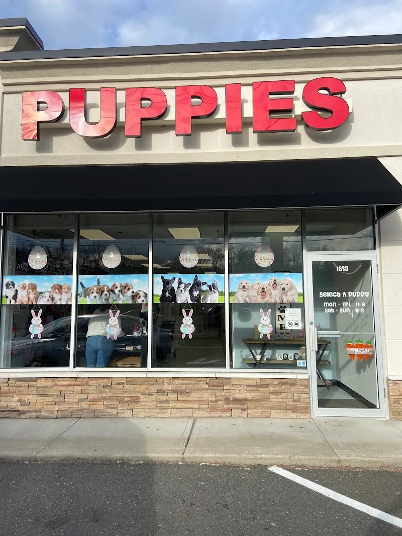 My Spoiled Pups LLC