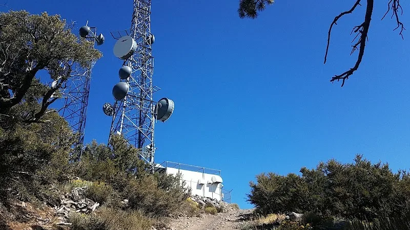 NEVADA RTO LLC