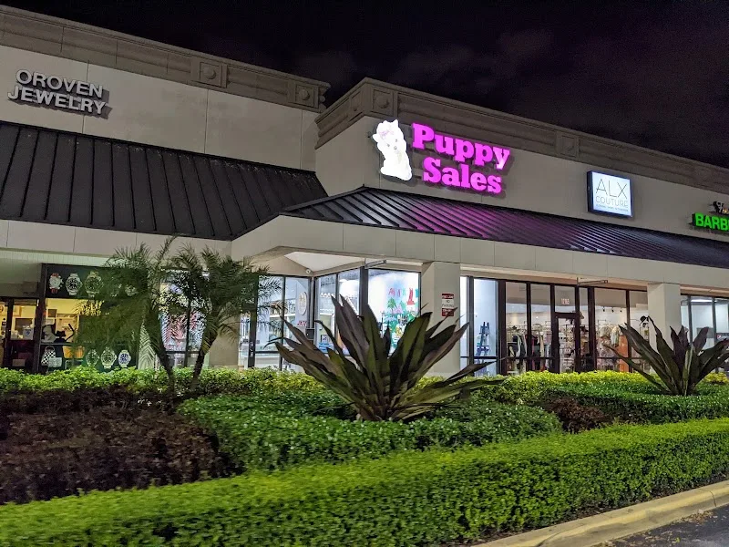 Ocean Front Puppies LLC (TF)