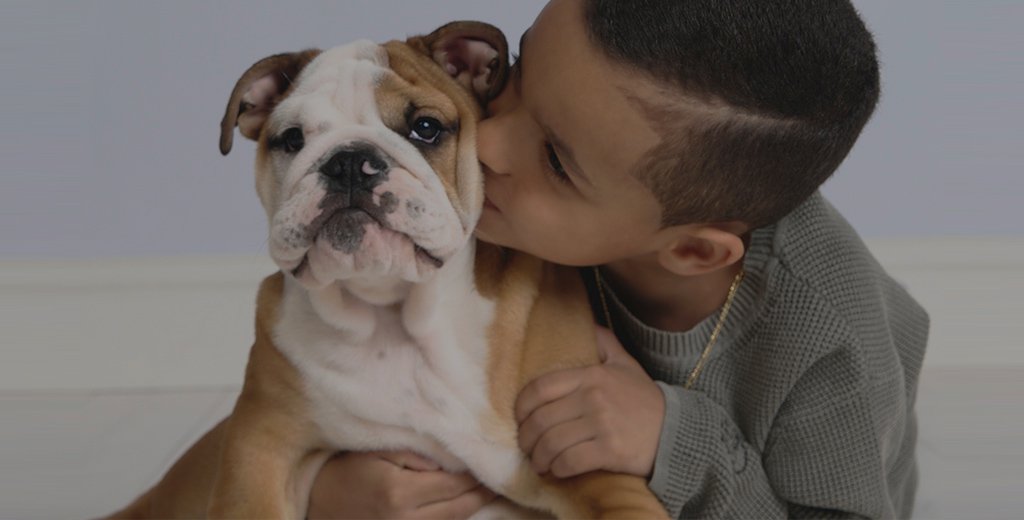 PuppySpot Group LLC (TF)(E)