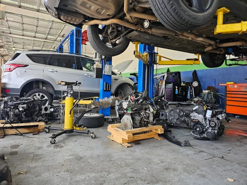 Olivana Automotive Group (FP)