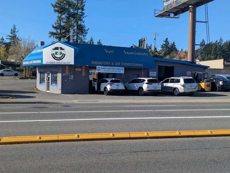 OM Auto Sale LLC