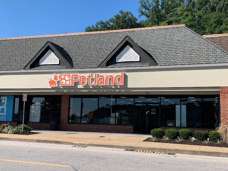Petland Fenton