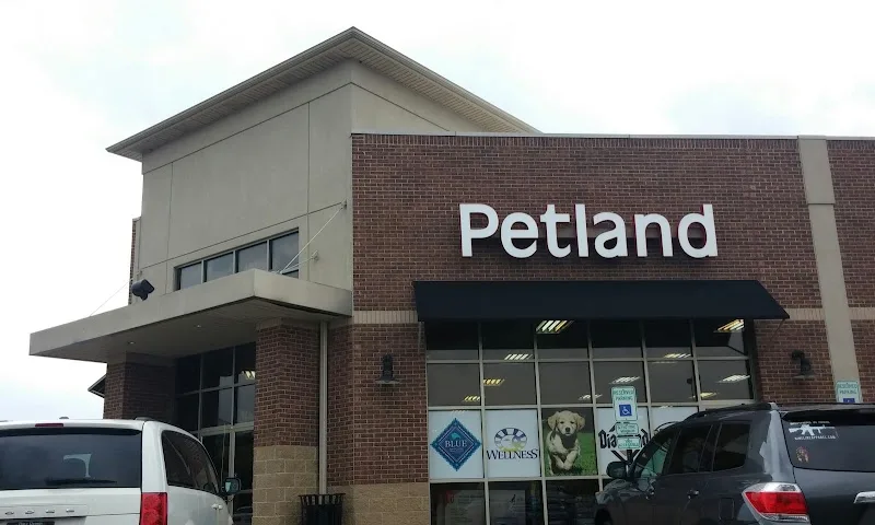 Petland Inc (FP)