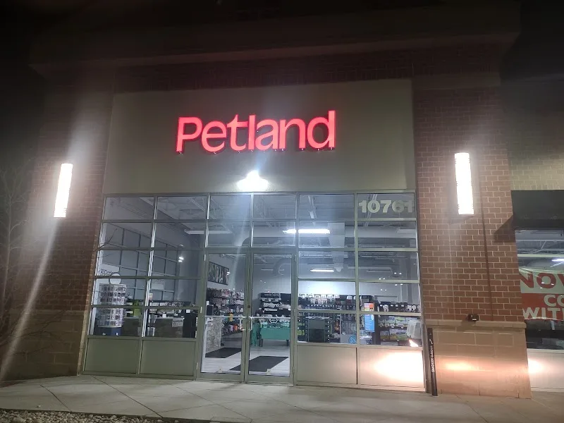 Petland Inc (FP)