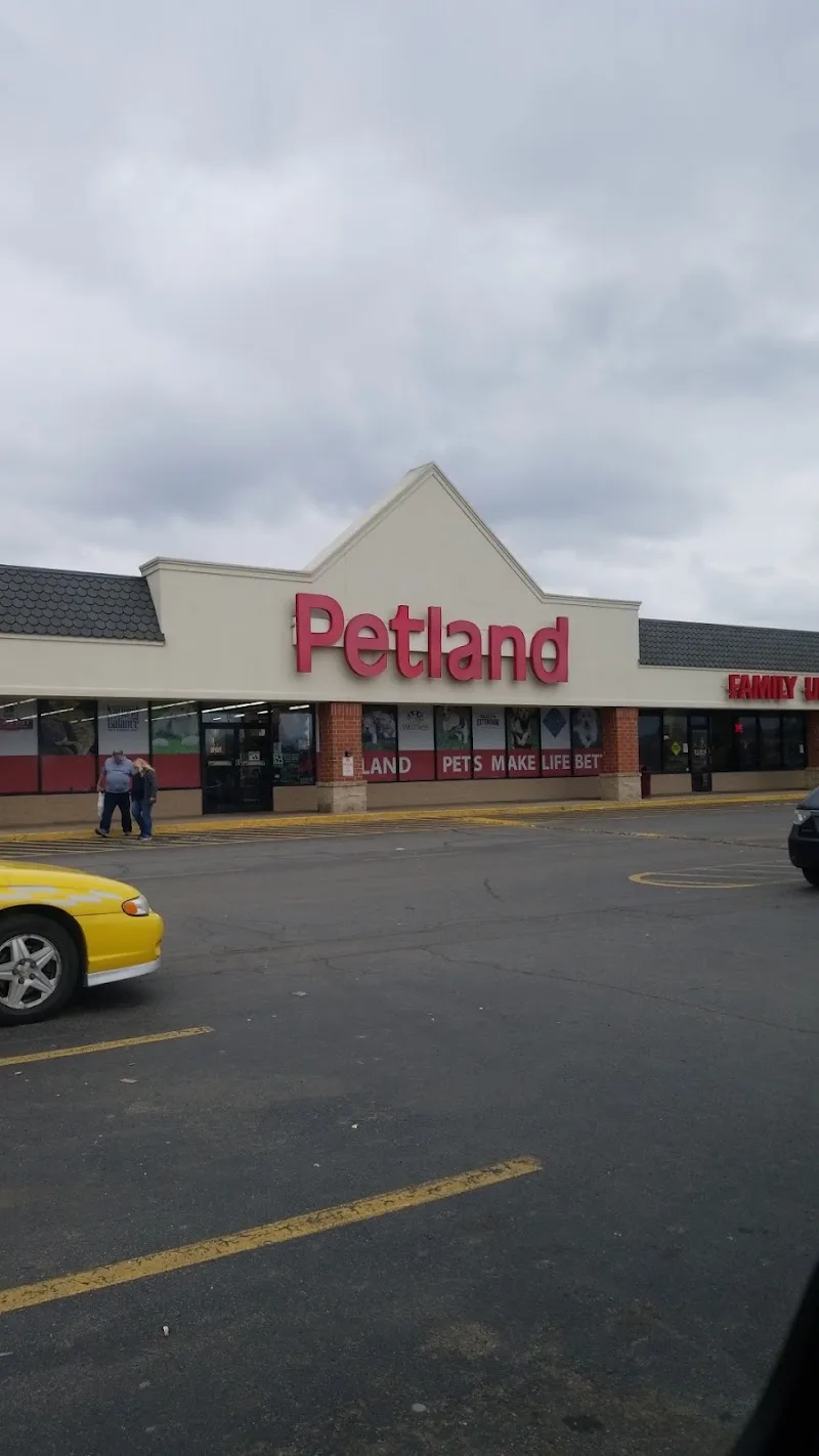Petland Inc (FP)