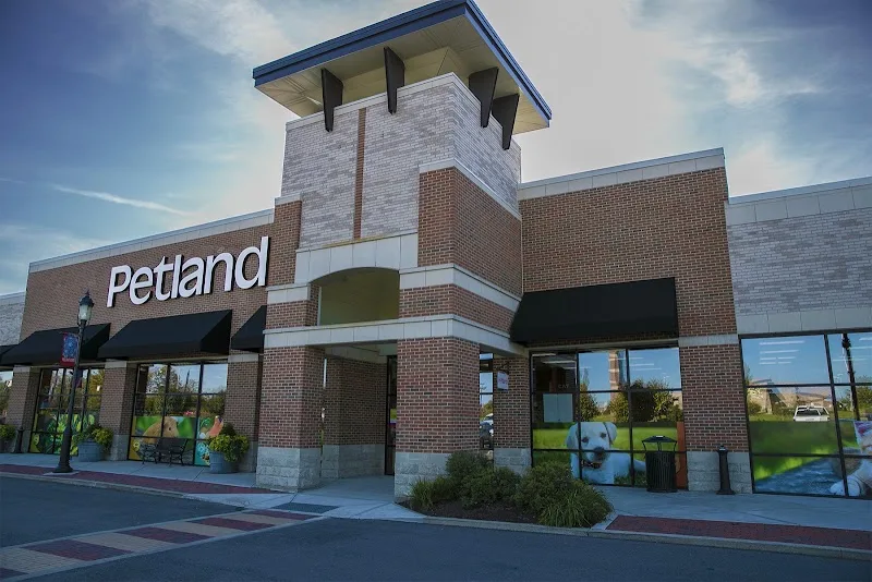 Petland Inc (FP)