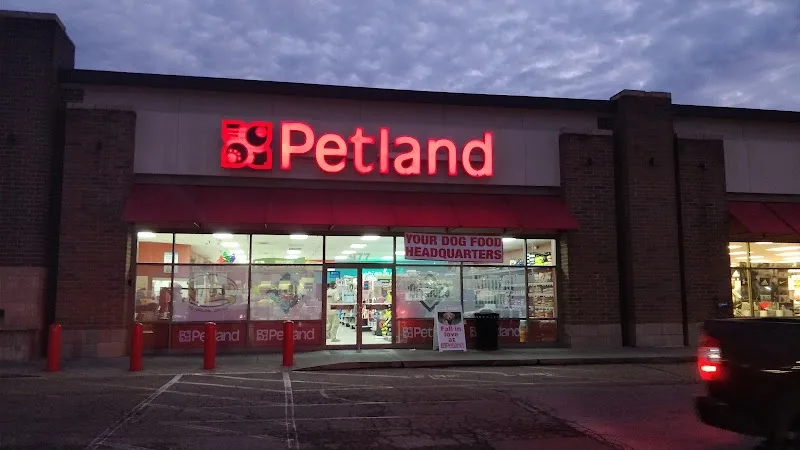 Petland Inc (LU)