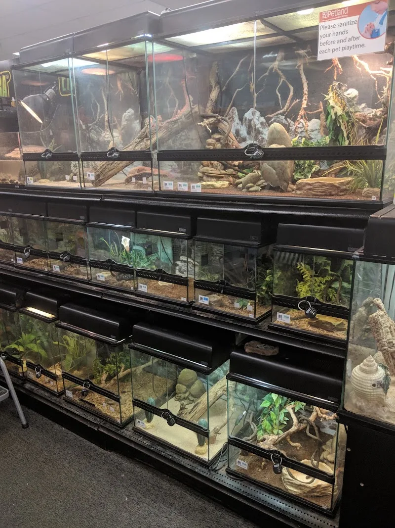 Petland Inc (LU)