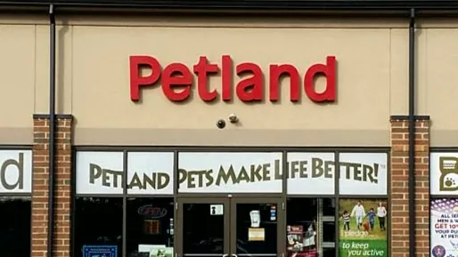 Petland Inc (LU)