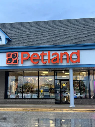 Petland Inc (LU)