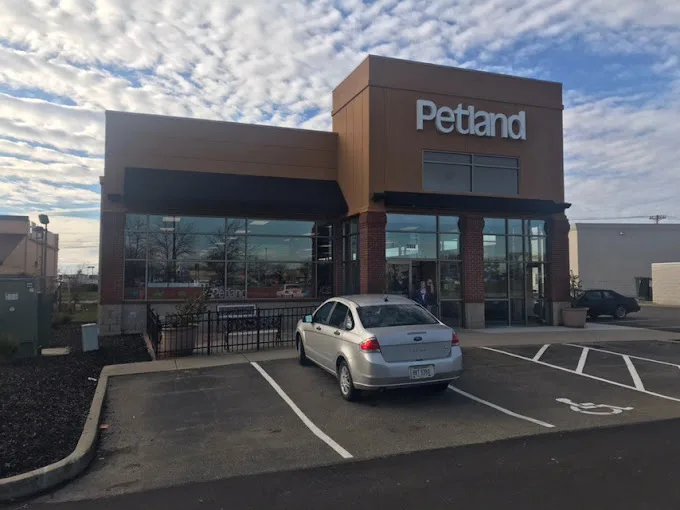 Petland Inc (LU)
