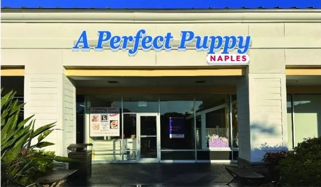 Pooches of Naples Inc (FP)