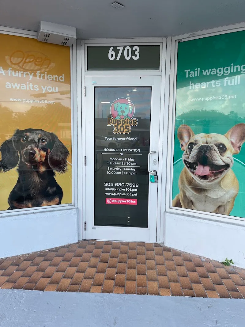 Puppies 305 Corp